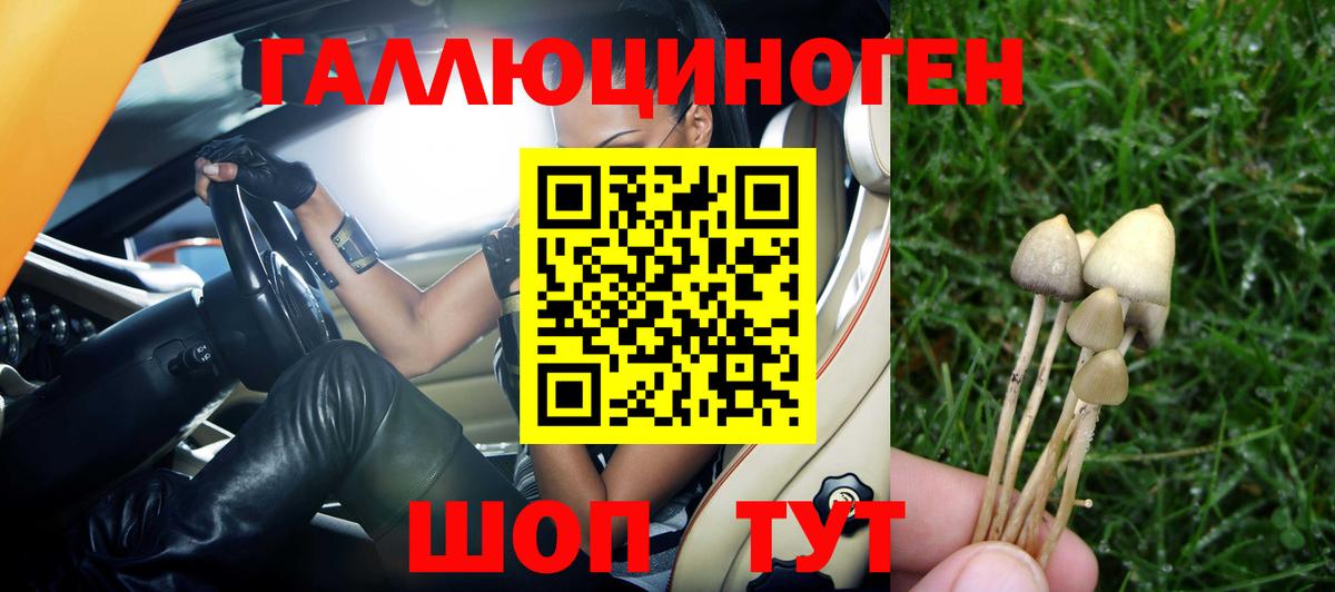 Псилоцибиновые грибы мухоморы  как найти закладки  Карасук  Вход с VPN 